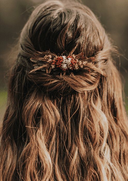 מסרקית סהרה