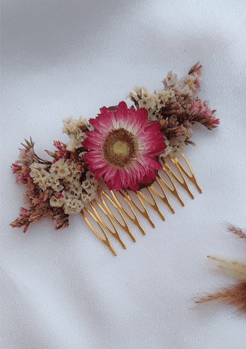 מסרקית דייזי