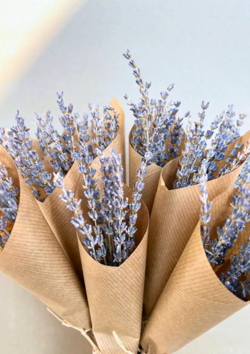 מיני זר לבנדר