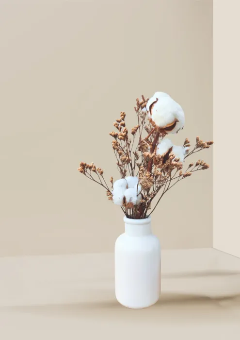 סט כותנה לימוניום