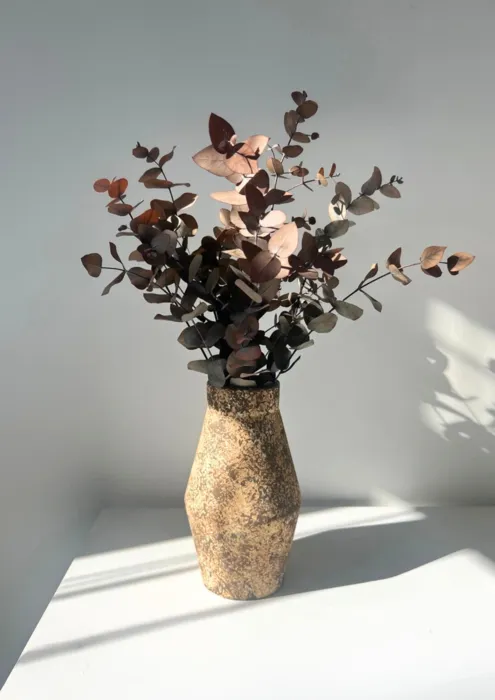 סט קרמי אקליפטוס מידת כלי 15X25